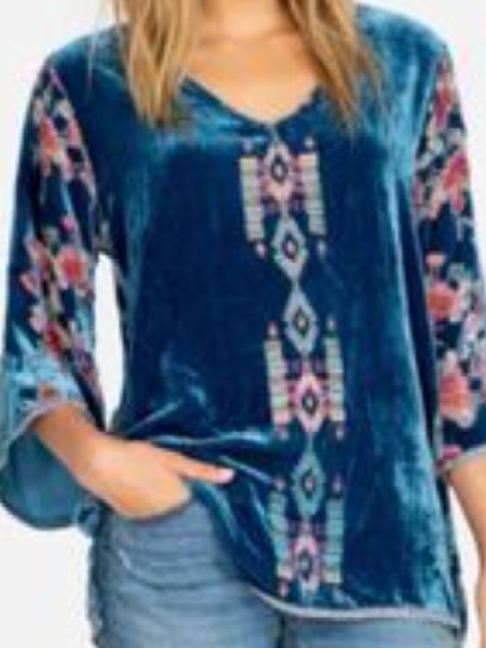 Johnny was size small blue velvet sheer floral back top